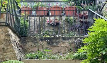 Prior Park Buildings, Bath: A Timeless Tangle