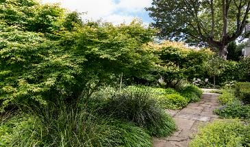 Primrose Hill Front Garden: Quiet Structure, Lasting Elegance