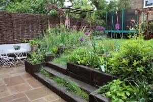 Modern family-friendly tiered garden with stone steps, lush green plants, purple alliums, a white outdoor table set, and a trampoline on the grass, all bordered by woven fences.