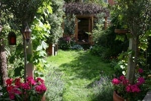 A lush garden with flowering plants and greenery leads to a wooden pergola at the back, partly shaded by vines and surrounded by trees and shrubs—a scene reminiscent of a tranquil garden sketch.