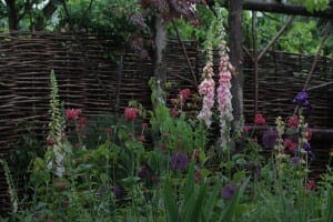 A flower garden blooms with tall pink foxgloves, purple and red flowers, and green foliage—arranged as meticulously as project management—in front of a woven wooden fence and trees.