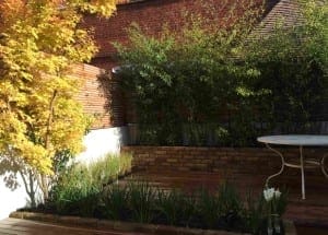 Small garden with a wooden deck, a round white table, green plants, a yellow-leaved tree, and a brick wall under sunlight beside the building.