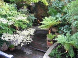 A small garden features lush green plants, ferns, and shrubs around a wet wooden deck with curved stone edging and potted plants, creating an Eastern Exotic atmosphere.