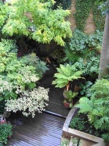 A shaded garden with lush green and variegated plants, wooden decking, potted ferns, and stone steps bordered by dense foliage creates an Eastern Exotic retreat.