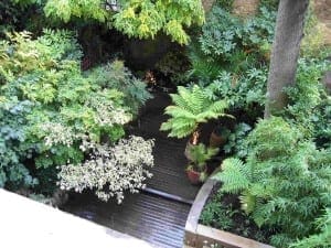 Small garden with various green plants and ferns surrounding a wet stone pathway, bordered by a low curved wall and shaded by a tree for an Eastern exotic ambiance.