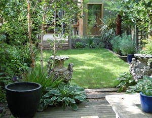 A lush Chelsea garden with a grassy lawn, surrounded by various plants, potted greenery, and stone garden ornaments, with a wooden building in the background.