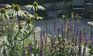A chillout garden with white coneflowers and tall purple flowers in the foreground, featuring a stone patio, chairs, and planter boxes in the background.