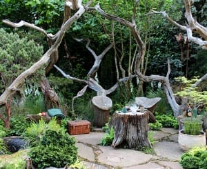 A rustic Chelsea garden seating area with stone chairs and a tree stump table, surrounded by lush greenery and twisted tree branches.