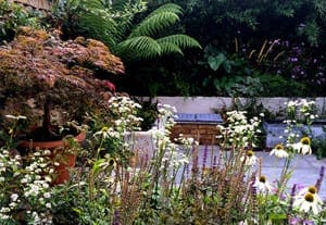 A small garden featuring a variety of blooming flowers, potted plants, and a stone bench against a wall with dense green foliage creates one of those exotic retreats perfect for quiet moments.