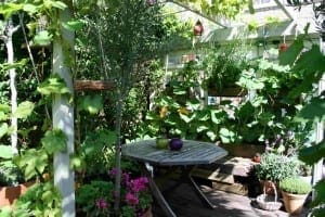 A wooden table and bench are surrounded by lush green plants and flowers in a sunlit garden corner, featuring potted plants, hanging vines, and the vibrant abundance of Edible Gardens.