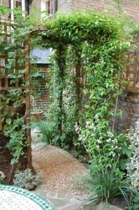 A wooden garden arch with pergolas beams is covered in green vines over a gravel path, surrounded by leafy plants and white flowers, with a brick wall in the background.