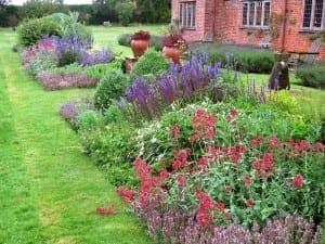 A well-maintained garden border, buzzing with bees among vibrant purple, red, and green flowering plants, sits beside a brick house and a freshly mowed lawn.