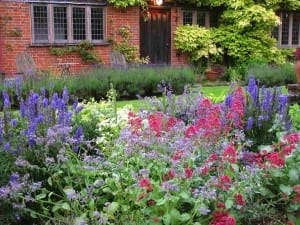 Colorful garden with purple and red flowers in bloom attracts bees in front of a brick house with leaded windows and a black door. Two wooden chairs are visible near the house.
