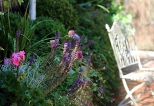 A metal garden chair sits beside a flower bed with various green plants, vibrant herbs, and blooming pink and purple flowers in sunlight.