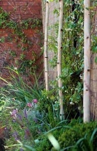 A garden scene with slender white birch trees, dense green foliage, flowering plants, and fragrant herb beds beside a brick wall covered in climbing vines.