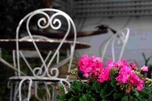 Bright pink flowers in the foreground add a pop of color to a shabby chic scene, with white metal chairs and a table softly blurred in the background.