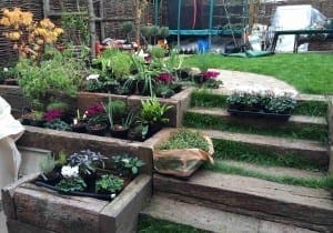 Several potted plants and flowers are arranged on wooden steps and planters, creating a charming cottage garden feel, with a grassy lawn and a trampoline in the background.