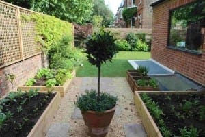 A small potted tree is placed on a path between raised edible gardens filled with various plants in a neatly landscaped backyard.