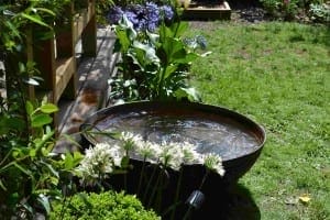 A shallow metal birdbath, one of the charming water features, sits filled with water on a grassy lawn next to blooming flowers and garden plants under sunlight.