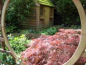 A small wooden shed with a green roof stands in a lush garden, viewed through a circular wooden frame and surrounded by vibrant plants and gardens, including a striking reddish-leaved shrub.