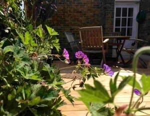 Roof Terraces