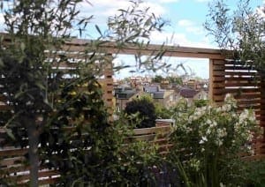 Framed view of a residential neighborhood through a wooden slatted fence, with trees and plants in the foreground and buildings visible in the distance.