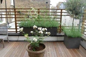 A Mondrian Garden-inspired rooftop terrace with wooden decking, a potted rose plant, raised planters of green shrubs, a wooden chair, and a wooden lattice privacy screen.