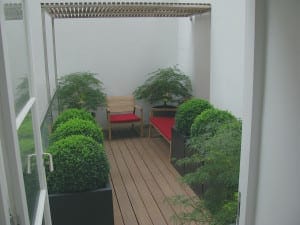 A small patio with wooden flooring, two wooden chairs with red cushions, potted green shrubs and acers, all beneath a slatted wooden pergola overhead.