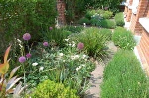 Narrow front garden pathway bordered by green leafy plants and flowering bushes, with purple and white blossoms, beside a red-brick building.
