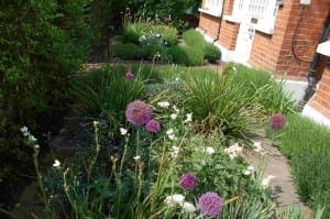 A stunning front garden with leafy green plants, tall grasses, and purple allium flowers creates a lush welcome beside a brick house with white doors and windows.