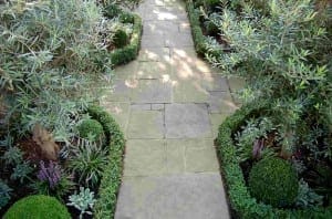 Stone pathway bordered by manicured boxwood hedges, olives, shrubs, and trees in a neatly landscaped garden.