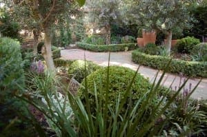 A landscaped garden with trimmed box hedges, various shrubs, potted olives, and a stone pathway winding through the greenery.