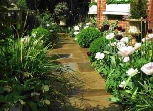 A stone garden path winds through a cottage garden, bordered by lush green bushes and blooming white and dark purple flowers next to a brick building.