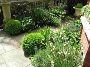 A charming cottage garden with trimmed shrubs, tall grasses, flowering plants, and stone paving sits beside a brick wall and stone balustrade.