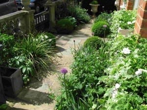 A stone pathway winds through a charming cottage garden, bordered by green shrubs, flowering plants, and potted greenery beside a brick wall and stone railing.