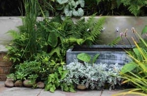 A metal trough sits among various green and silver foliage plants, accented by flowering perennials, with a row of rocks at the base and a concrete wall behind.