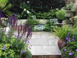 Flowering perennials