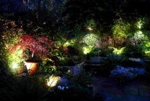 Outdoor garden at night with various plants, trees, and flowering perennials illuminated by spotlights, creating bright and shadowed areas.