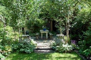 A stone table with two benches sits on a small patio beneath the dappled shade of Himalayan birch, surrounded by lush green plants and trees in a tranquil garden.