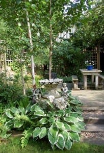 A decorative stone planter surrounded by hosta plants stands near graceful Himalayan birch trees in a garden with a wooden table and benches in the background.