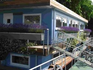 A blue houseboat with rectangular flower boxes filled with purple flowers, sleek metal railings, and a sloped gangway leading to the entrance. Trees can be seen in the background.