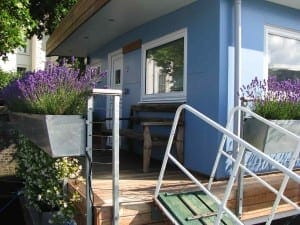 A wooden porch with a ramp sits beside a blue houseboat, featuring two large metal planters filled with purple flowers and white-framed windows and door.