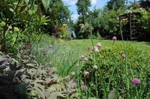 An oval garden with flowering plants, shrubs, and a lawn sits under a partly cloudy sky, with a swing and wooden structure visible in the background.