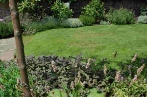 A neatly maintained oval garden with a central area of green grass, bordered by various flowering plants and shrubs, and a young tree in the foreground.