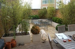 A small night garden patio with potted plants, metal outdoor seating, a wooden table with papers, and a yellow Labrador sniffing near the edge.