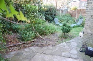 A backyard garden with two lounge chairs on grass, surrounded by shrubs, edible plants, and trees, with a stone patio in the foreground.