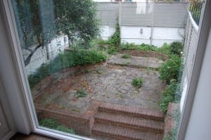 View of a small enclosed backyard with shabby chic charm—brick steps, stone paving, overgrown plants, and a white fence—all glimpsed through a window.