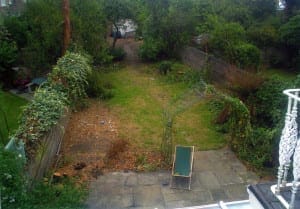 A slightly overgrown backyard with patchy grass, two vine-covered arches, a single lawn chair on a stone patio, and dense greenery along the fences—perfect for creating oval gardens amidst this natural retreat.