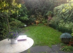 A small, lush garden with various green plants, shrubs, and flowering perennials. In the foreground, a white table holds a potted plant, a closed notebook, and a pen.