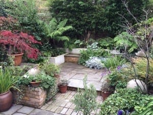 A small, paved garden patio surrounded by potted plants, shrubs, ferns, and a concrete bench, with dense greenery in the background—ideal for autumn maintenance to keep the vibrant foliage tidy and healthy.
